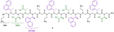 Sequence Changes Modulate Peptoid Self-Association in Water